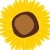 MrTournesol