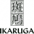 Ikaruga