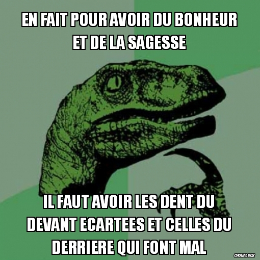 Théorie sur la sagesse et le bohneur