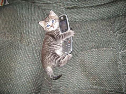 Les premiers resultats