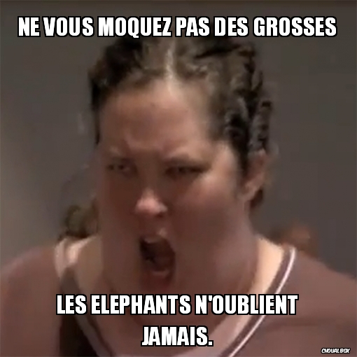 Ne vous moquez pas des grosses