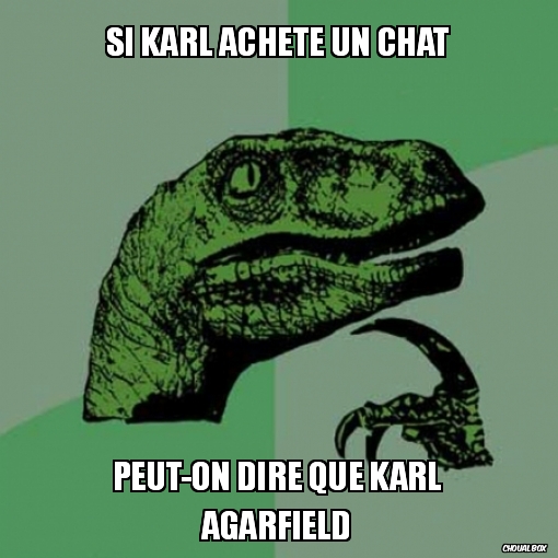 Si Karl achète un chat