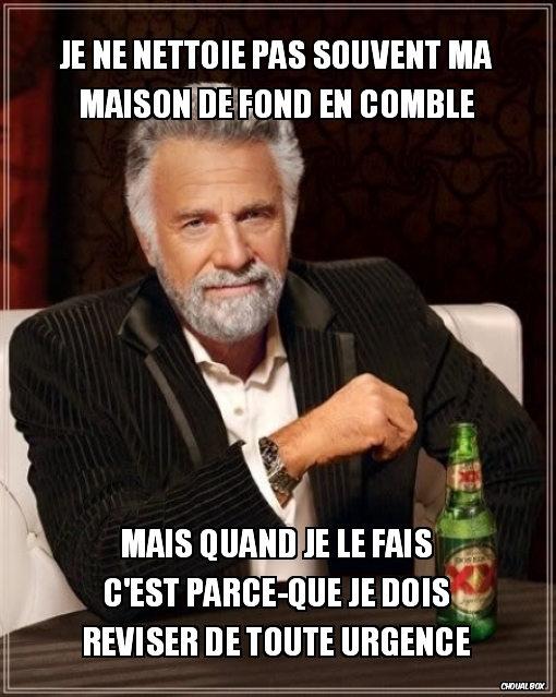 Je ne nettoie pas souvent ma maison...