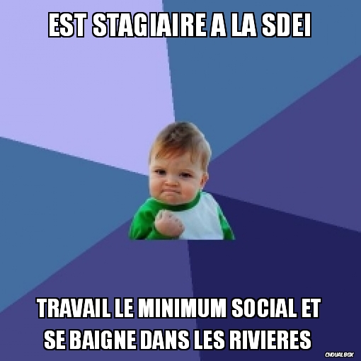 Est stagiaire a la SDEI