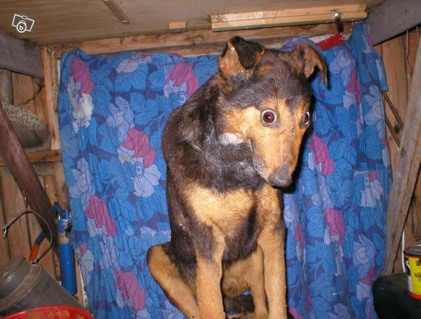 Pruto is &quot;alive&quot;