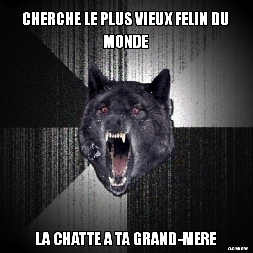 Cherche le plus vieux felin du monde