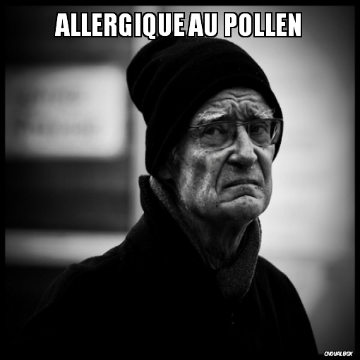 Allergique au pollen