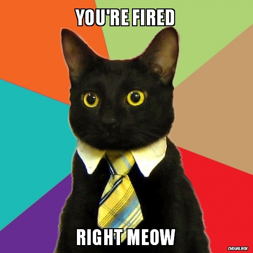 You're fired !