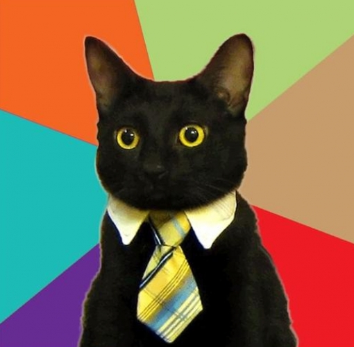Business Cat