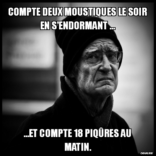 Compte deux moustiques le soir en s'endormant ...