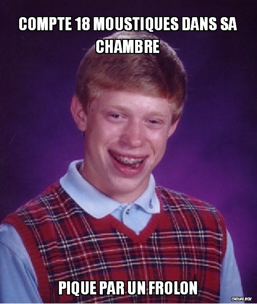 18 moustiques !