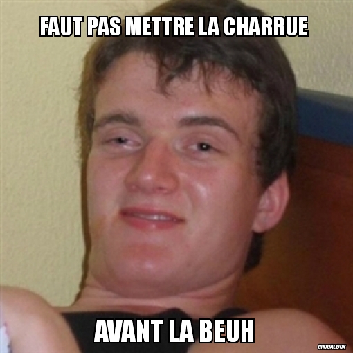 faut pas mettre la charrue 