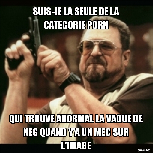 Suis-je la seule de la catégorie porn ...