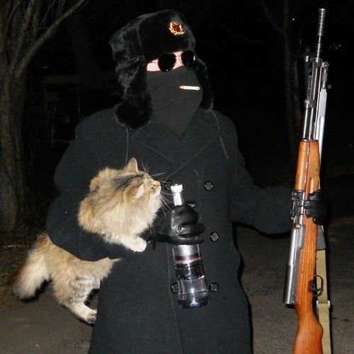 IMG