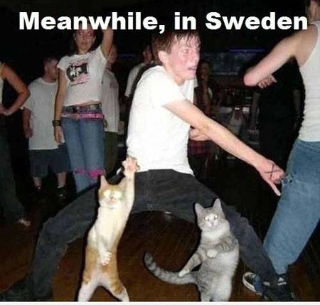 Pendant ce temps , en Suède