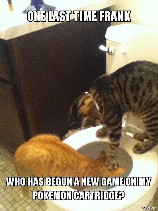 Frank...-New game on Pokemon