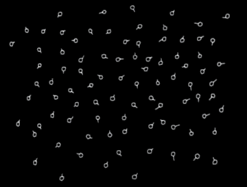 Gif sur l'évolution