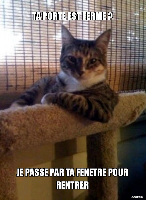 Connard de chat 