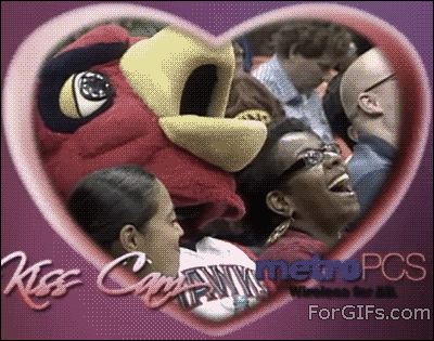 Kiss cam 