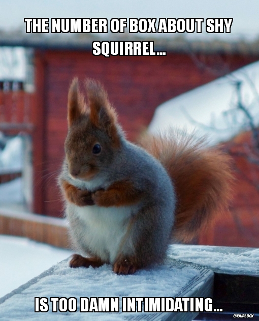 The number of box about shy squirrel...