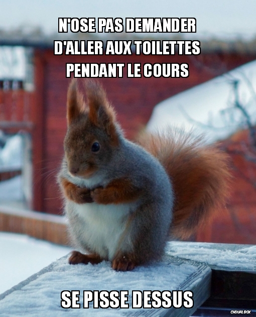 Un sacré bon moment