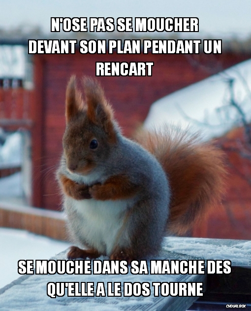 don je suis pas balade boyons.