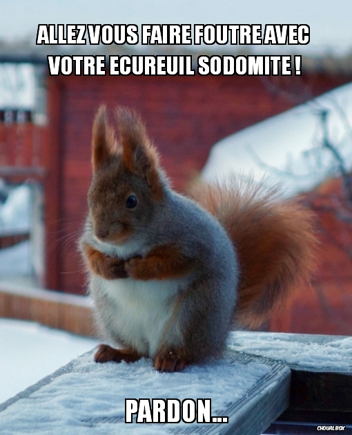 Allez vous faire foutre avec votre écureuil sodomite !