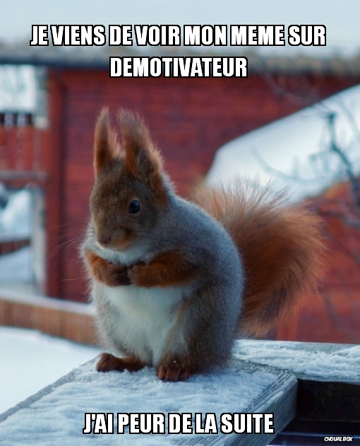 Je viens de voir mon meme sur Demotivateur