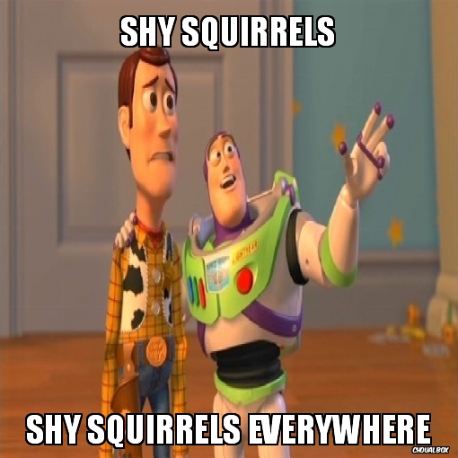 on va finir par manquer de gland