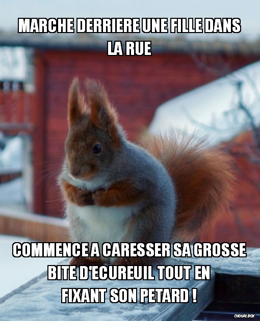 Marche derrière une fille dans la rue