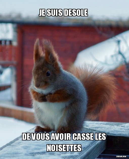 Je suis désolé 