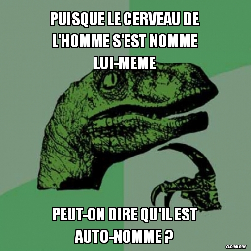 Le nom du cerveau