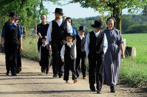 Amish-mafia