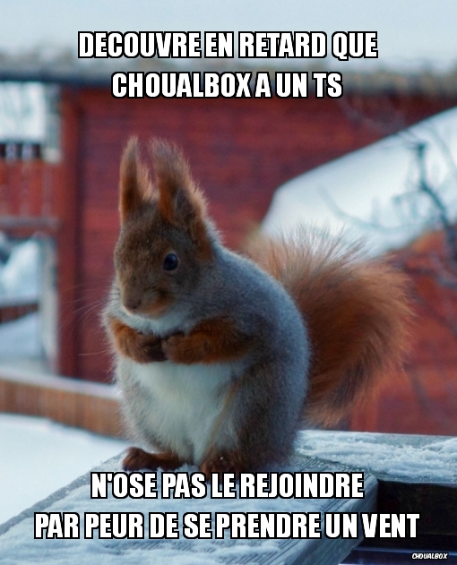 Le ts de choualbox