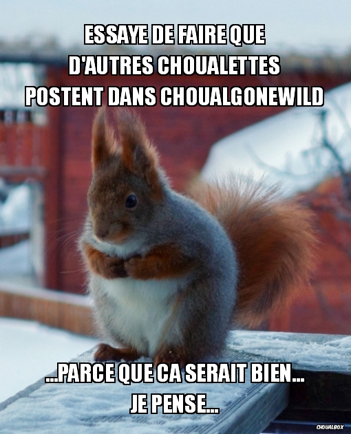 Pour le retour des choualettes dans ChoualGoneWild