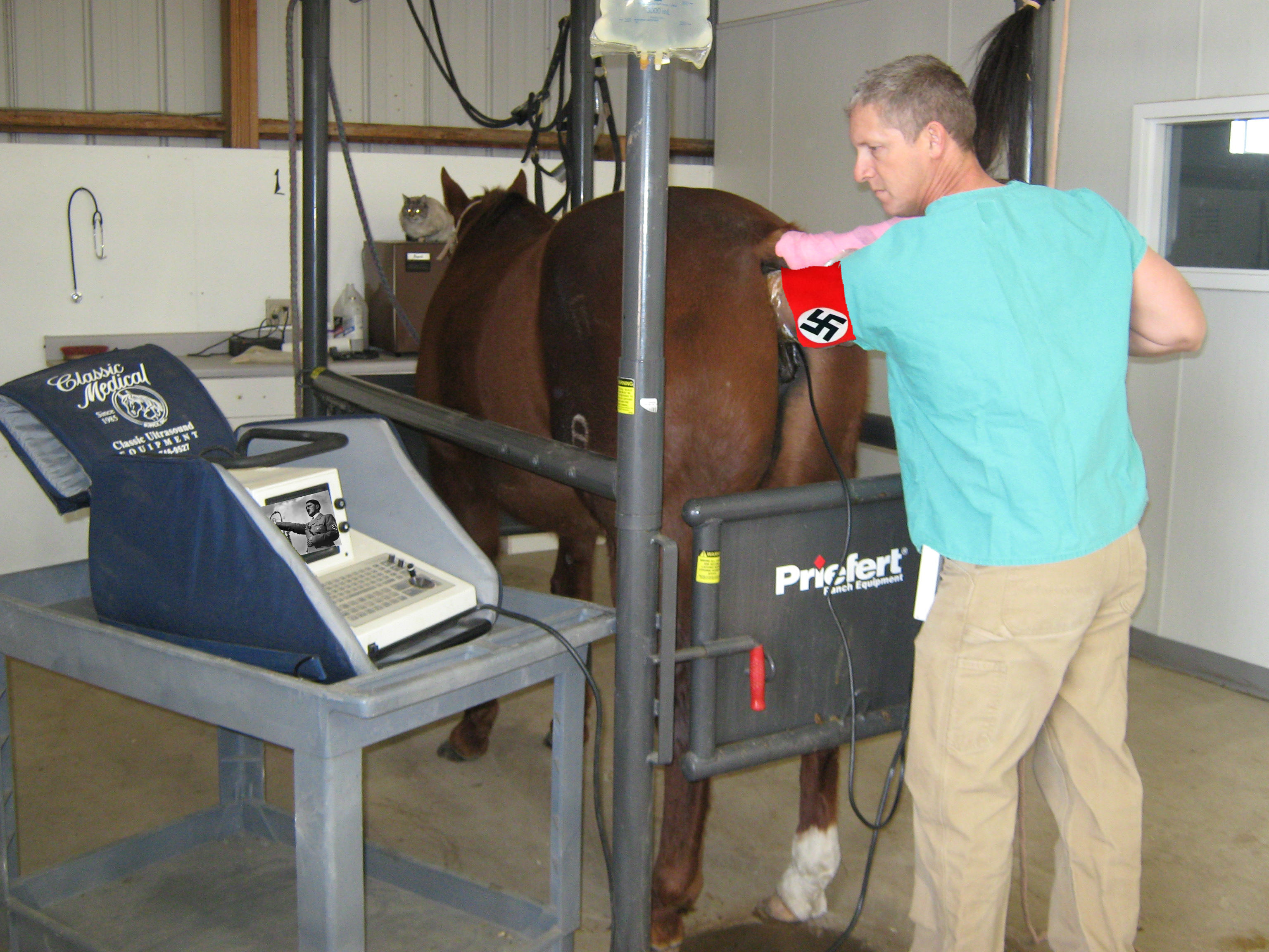 l'origine de la quenelle
