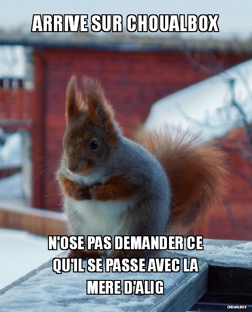 Arrive sur Choualbox...