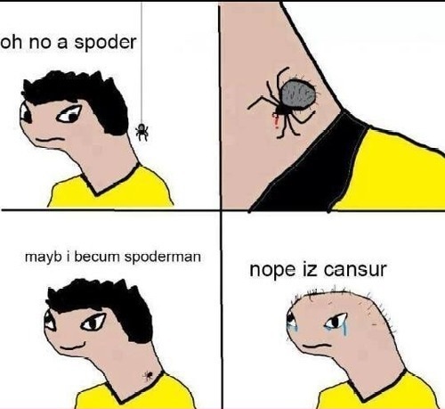 Spoder, wat r u doin, Spoder, stahp