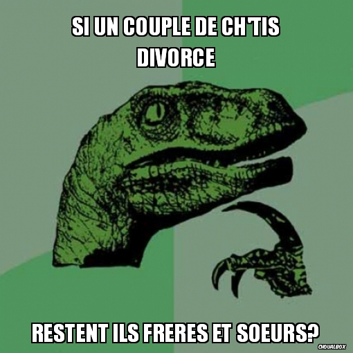 Si un couple de ch'tis divorce