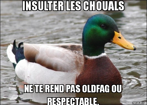 Insulter les chouals
