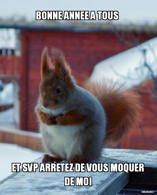 Bonne année a tous 