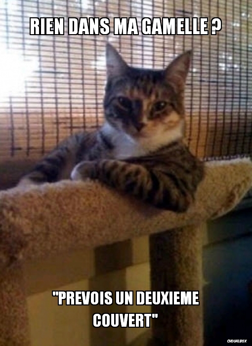 &quot;Yo ! On mange quoi ?&quot;