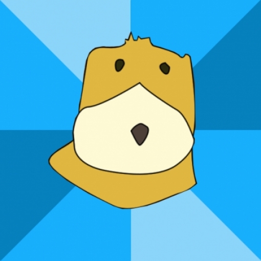 IMG