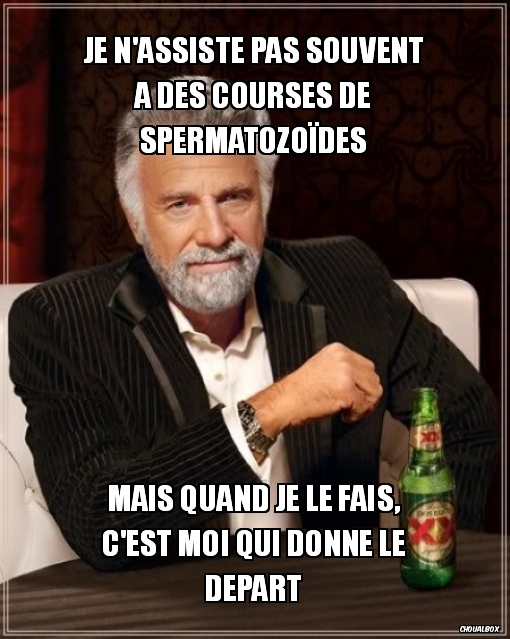 courses de spermatozoïdes