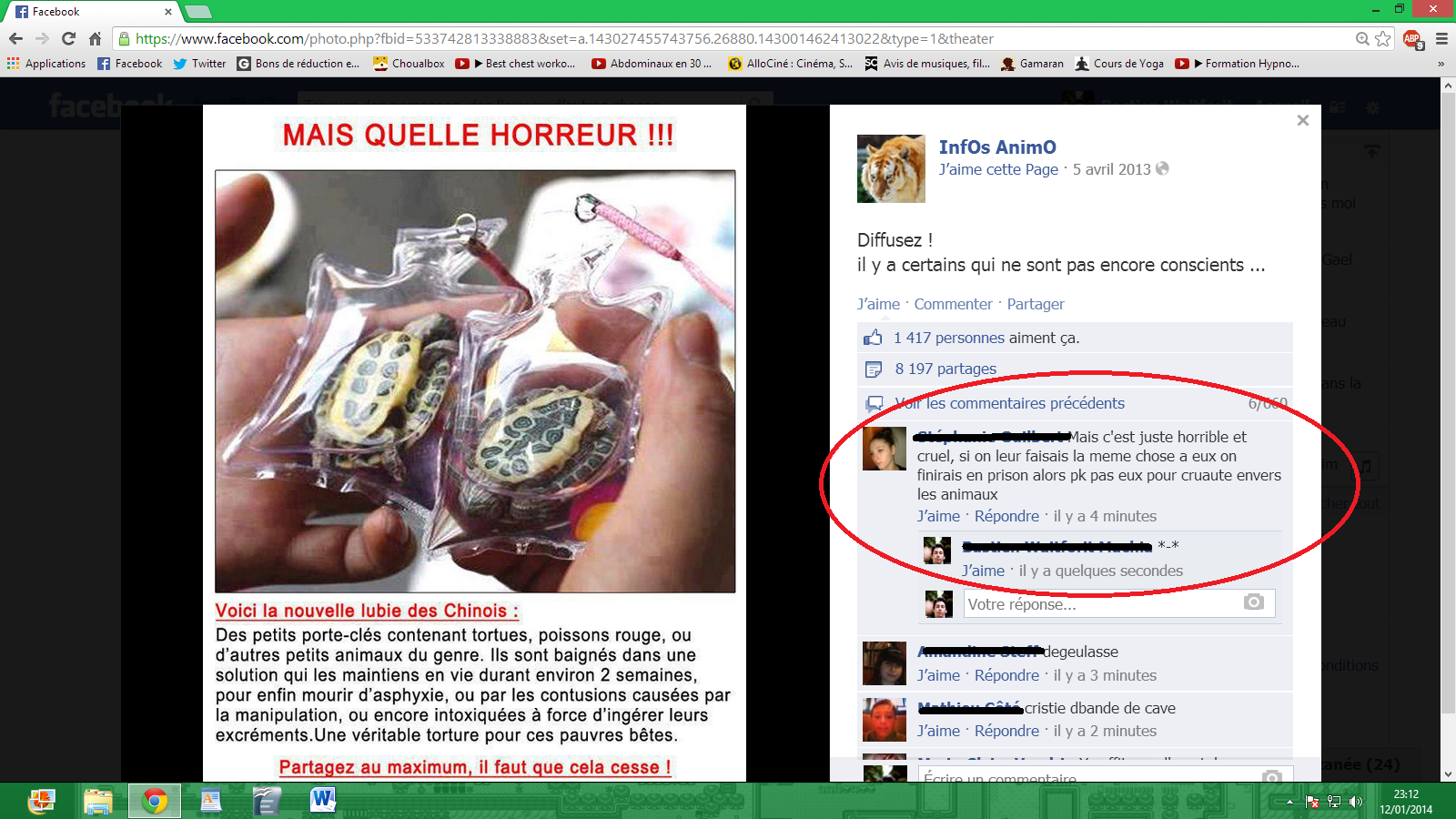 Nos amis les bêtes...