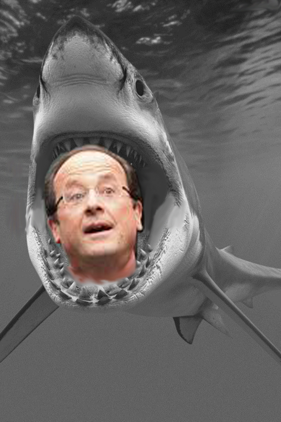 #Tueurdebitch Hollande !!!