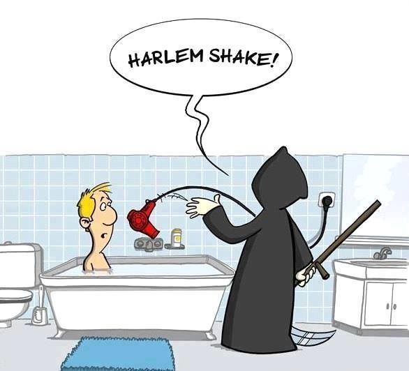 Harlem Shake motherfucker!