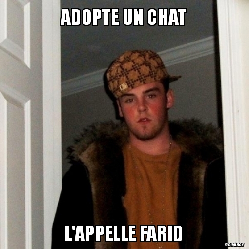 Adopte un chat