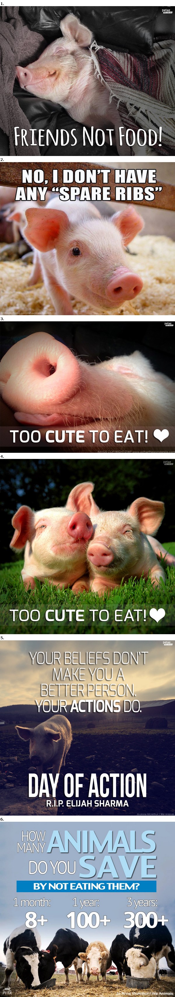 Renforcement positif