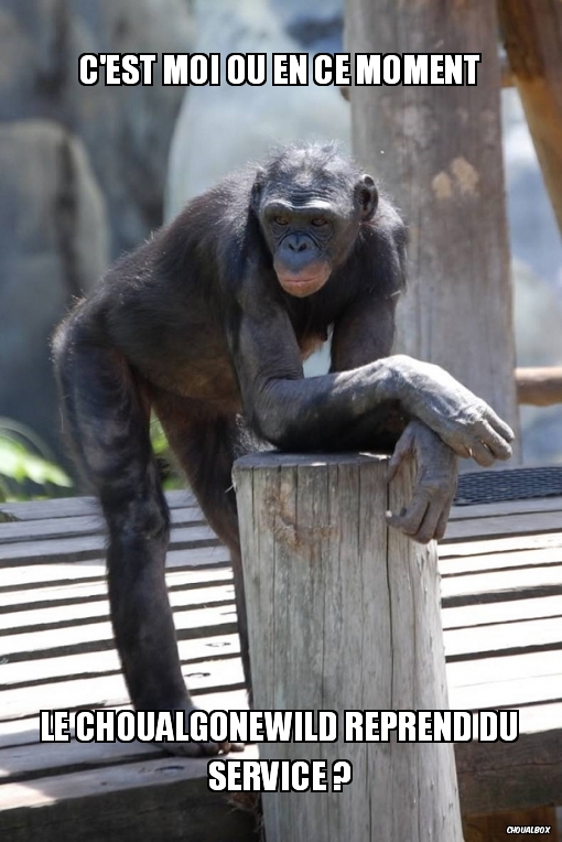 C'est moi ou en ce moment